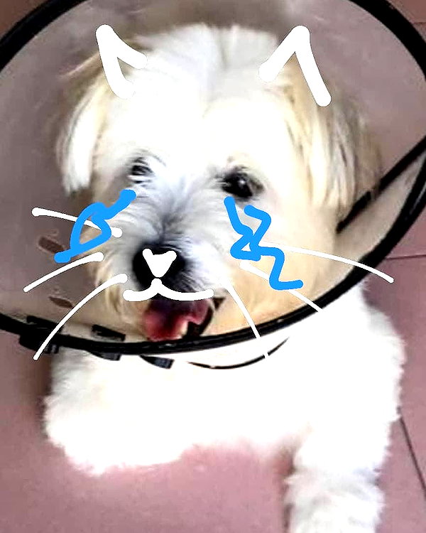 iamdorasnow instagram image archive image
