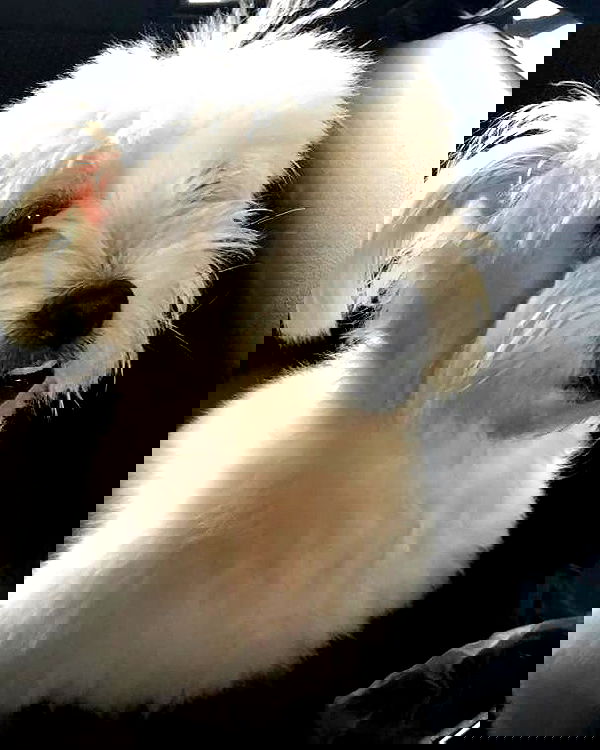 iamdorasnow iamdorasnow archive image