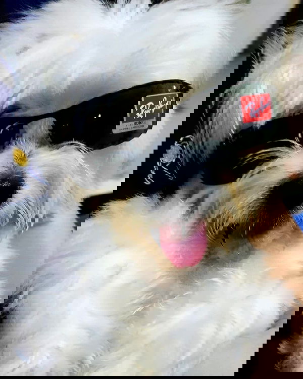 iamdorasnow iamdorasnow archive image