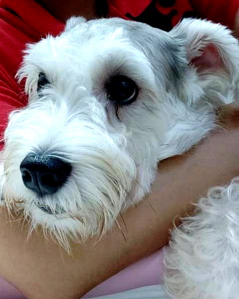 iamdorasnow iamdorasnow archive image