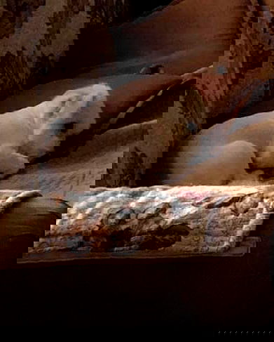 iamdorasnow iamdorasnow archive image