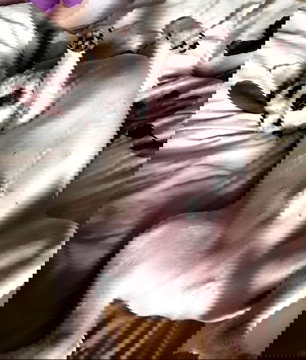 iamdorasnow iamdorasnow archive image