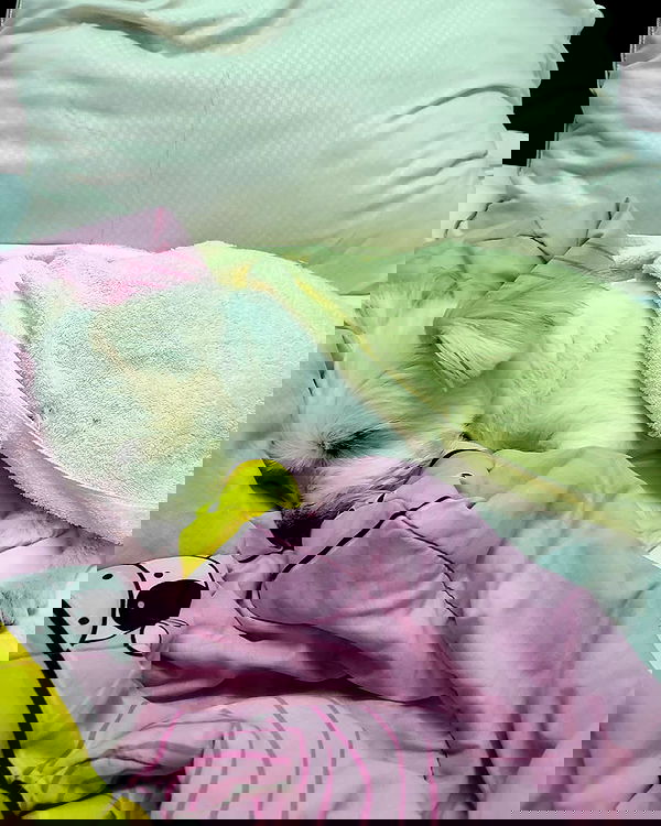 iamdorasnow iamdorasnow archive image