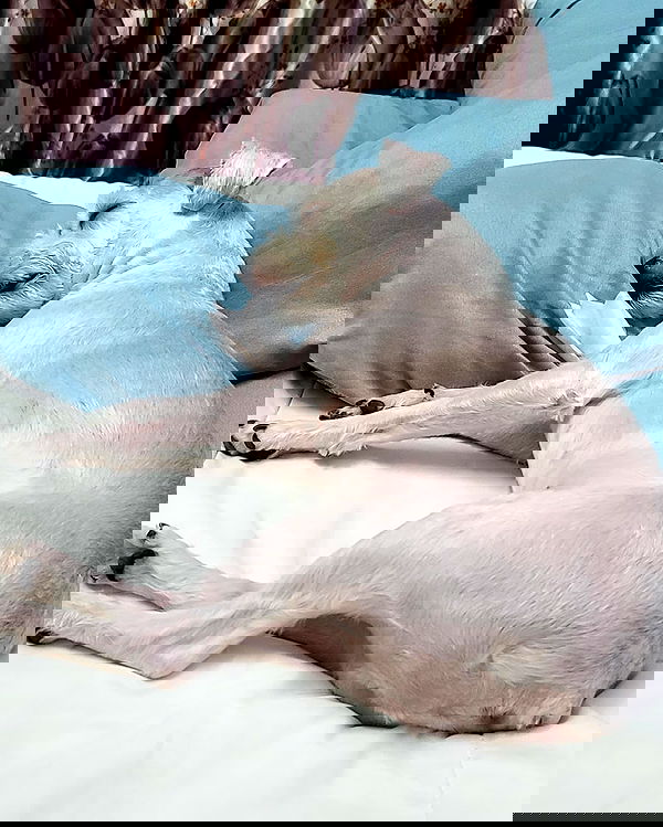 iamdorasnow iamdorasnow archive image