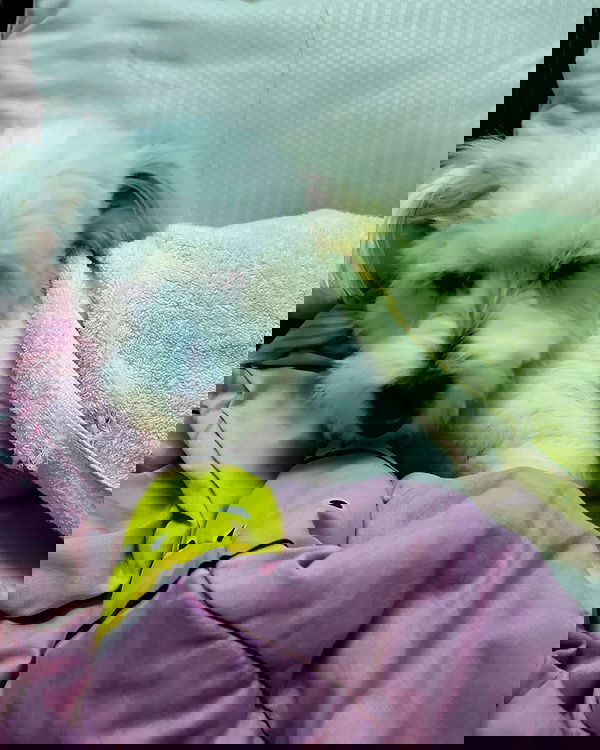 iamdorasnow iamdorasnow archive image