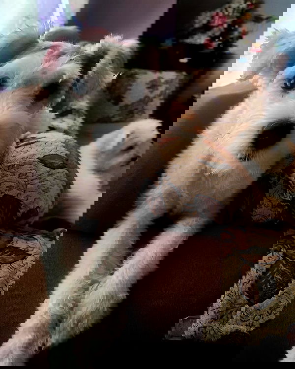 iamdorasnow iamdorasnow archive image