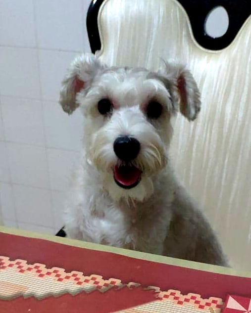 iamdorasnow iamdorasnow archive image