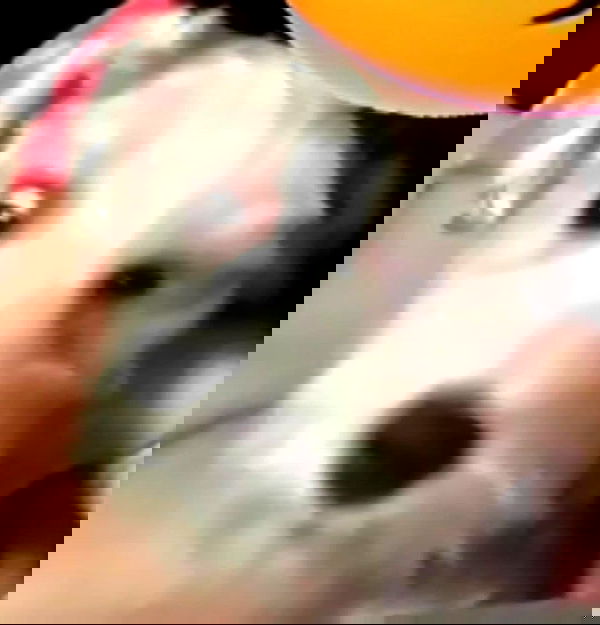 iamdorasnow iamdorasnow archive image