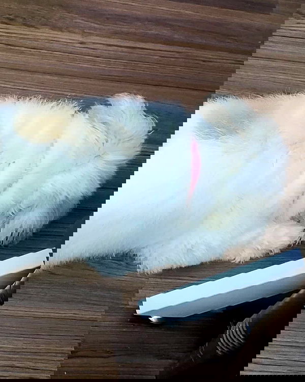 iamdorasnow iamdorasnow archive image