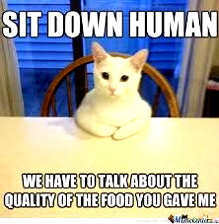 iamdorasnow iamdorasnow archive image