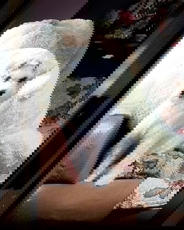 iamdorasnow iamdorasnow archive image