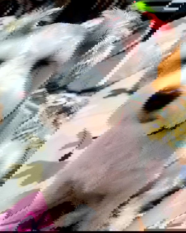 iamdorasnow iamdorasnow archive image