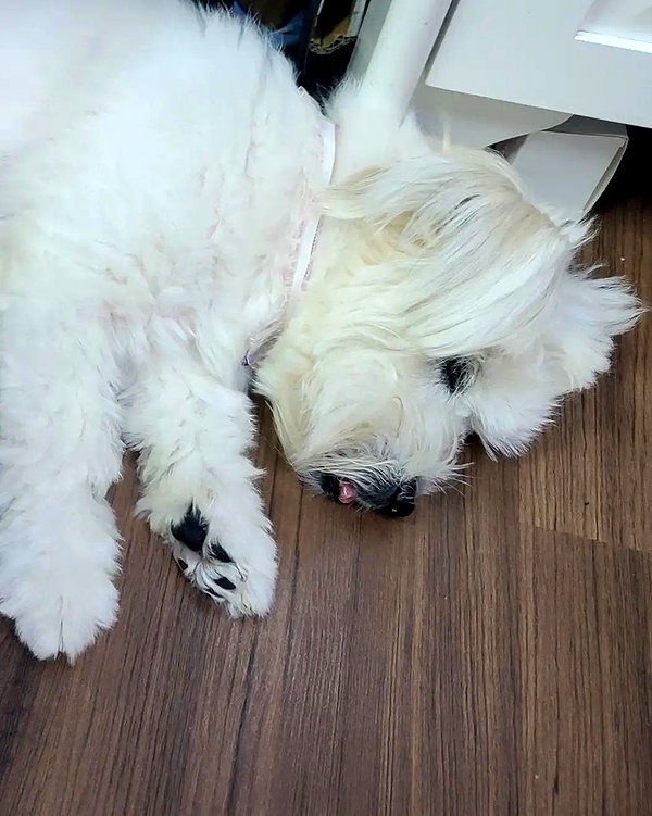 iamdorasnow instagram image archive image