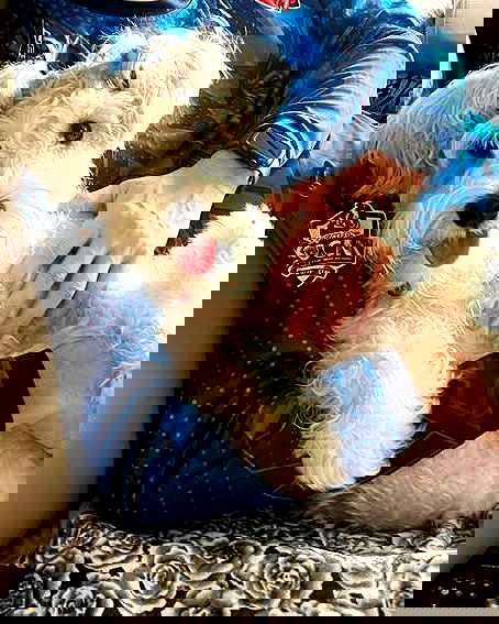 iamdorasnow iamdorasnow archive image