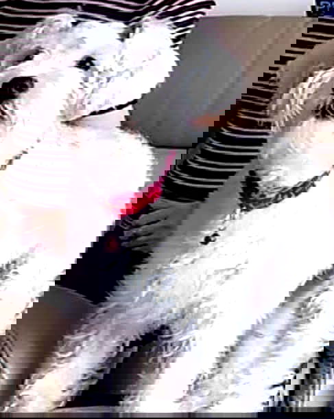 iamdorasnow iamdorasnow archive image