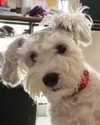 iamdorasnow Altpins Profile Picture