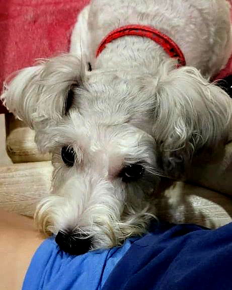 iamdorasnow iamdorasnow archive image