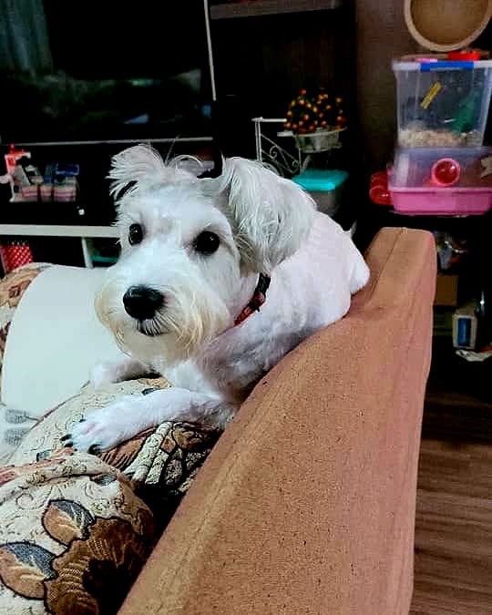 iamdorasnow iamdorasnow archive image