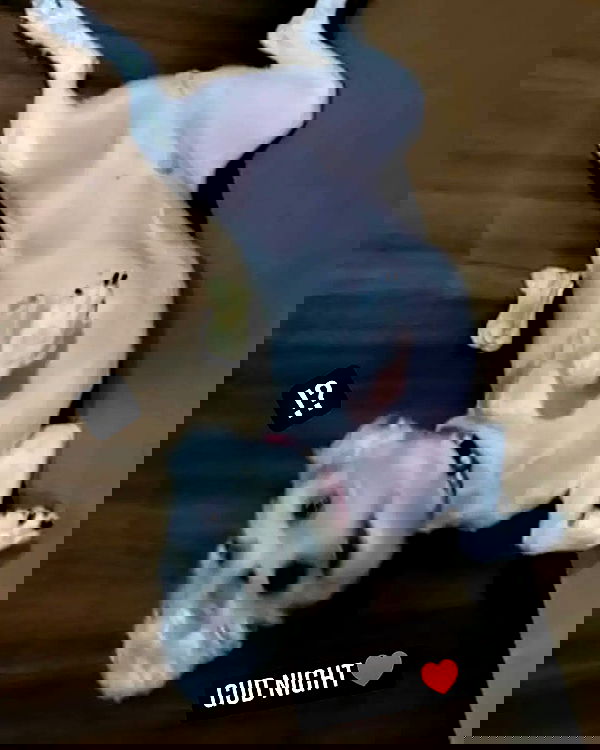 iamdorasnow iamdorasnow archive image