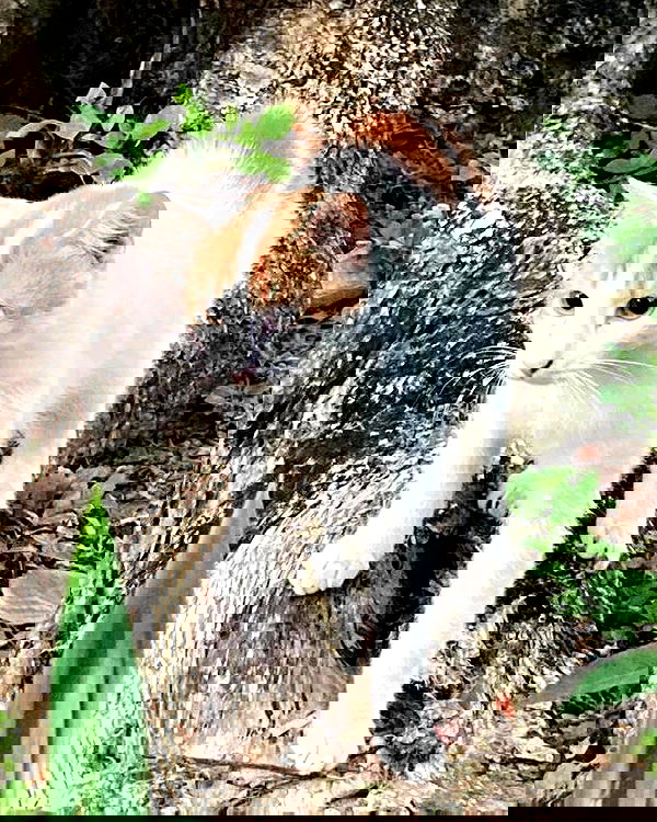 iamdorasnow iamdorasnow archive image