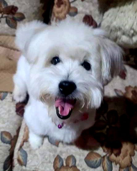 iamdorasnow iamdorasnow archive image