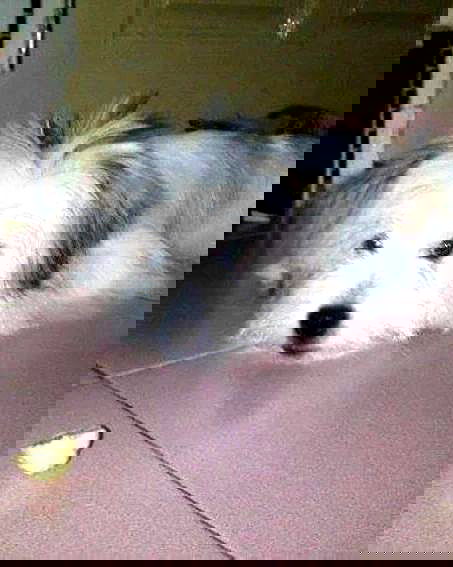 iamdorasnow iamdorasnow archive image