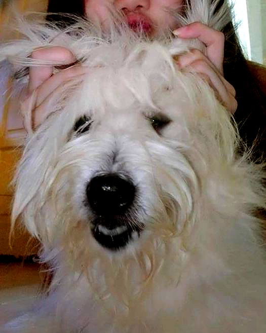 iamdorasnow iamdorasnow archive image