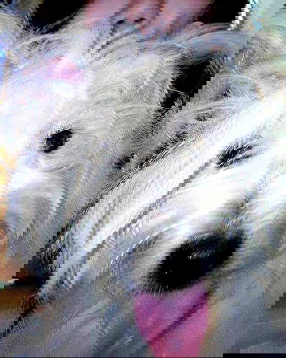 iamdorasnow iamdorasnow archive image