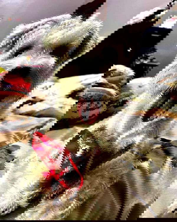 iamdorasnow iamdorasnow archive image