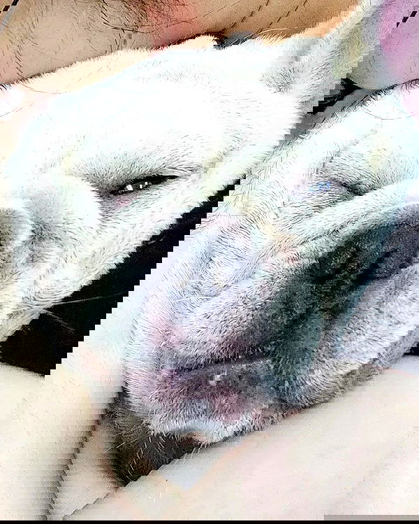 iamdorasnow iamdorasnow archive image