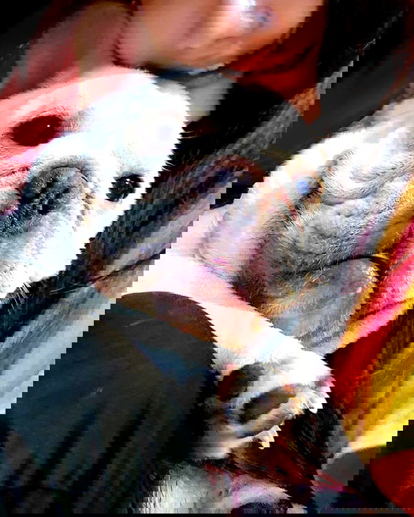 iamdorasnow iamdorasnow archive image