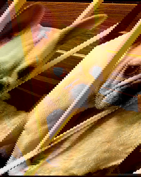 iamdorasnow iamdorasnow archive image