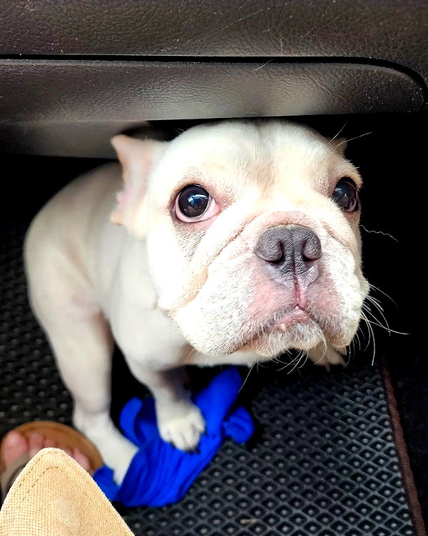 iamdorasnow instagram image archive image