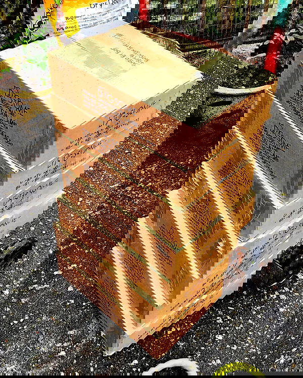 iamdorasnow iamdorasnow archive image