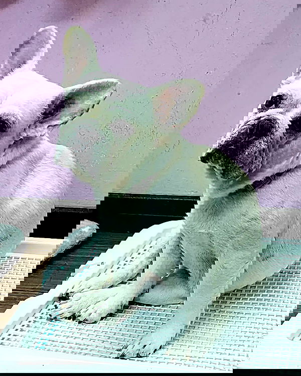 iamdorasnow iamdorasnow archive image