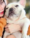 iamdorasnow Altpins Profile Picture
