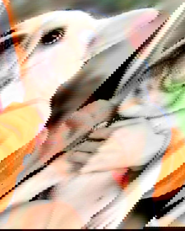 iamdorasnow iamdorasnow archive image