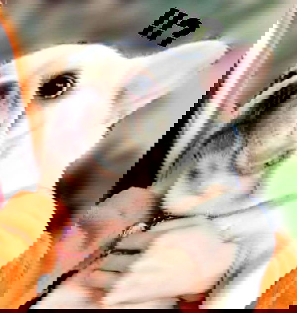 iamdorasnow iamdorasnow archive image