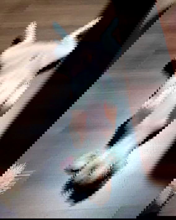 iamdorasnow iamdorasnow archive image