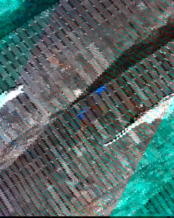 iamdorasnow iamdorasnow archive image