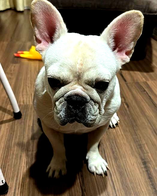 iamdorasnow iamdorasnow archive image