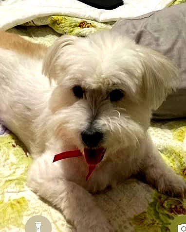 iamdorasnow iamdorasnow archive image