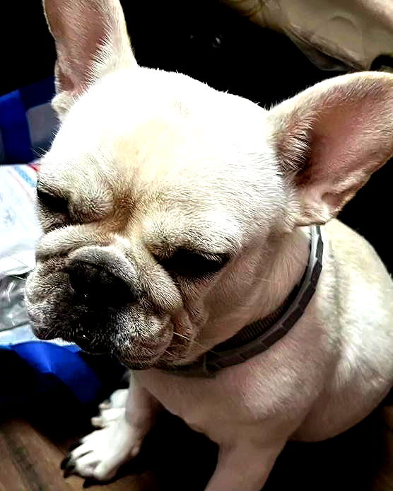 iamdorasnow iamdorasnow archive image