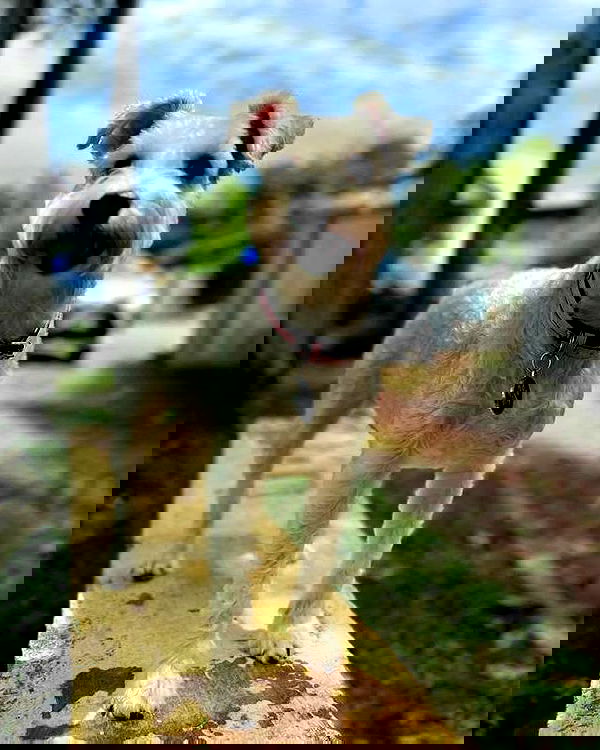 iamdorasnow iamdorasnow archive image