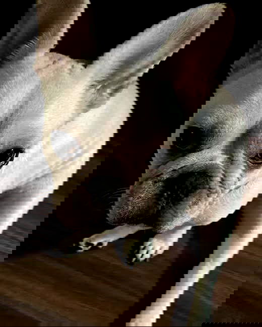 iamdorasnow iamdorasnow archive image