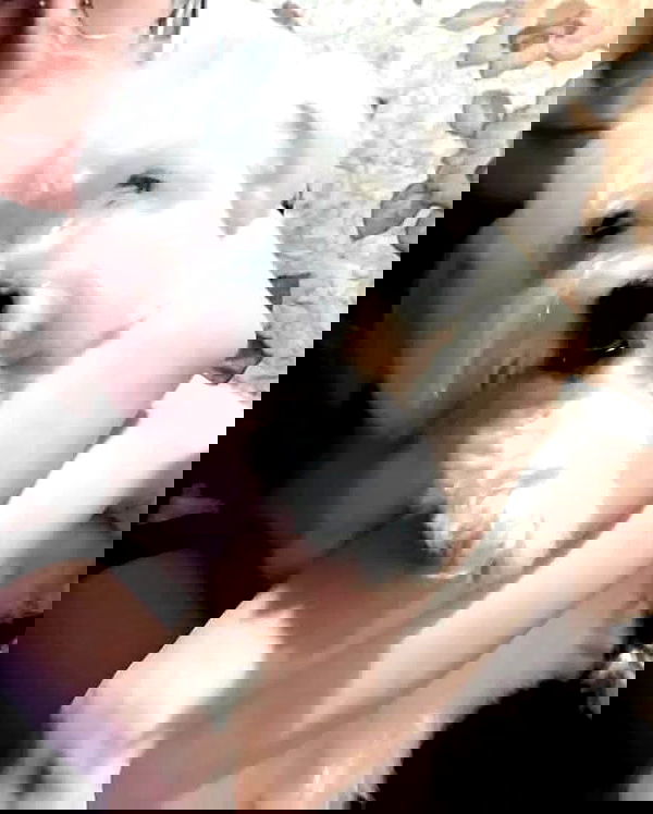 iamdorasnow iamdorasnow archive image