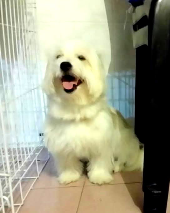 iamdorasnow iamdorasnow archive image