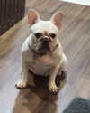 iamdorasnow Altpins Profile Picture