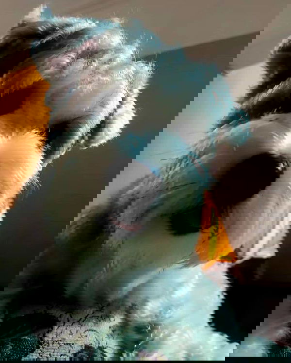 iamdorasnow iamdorasnow archive image