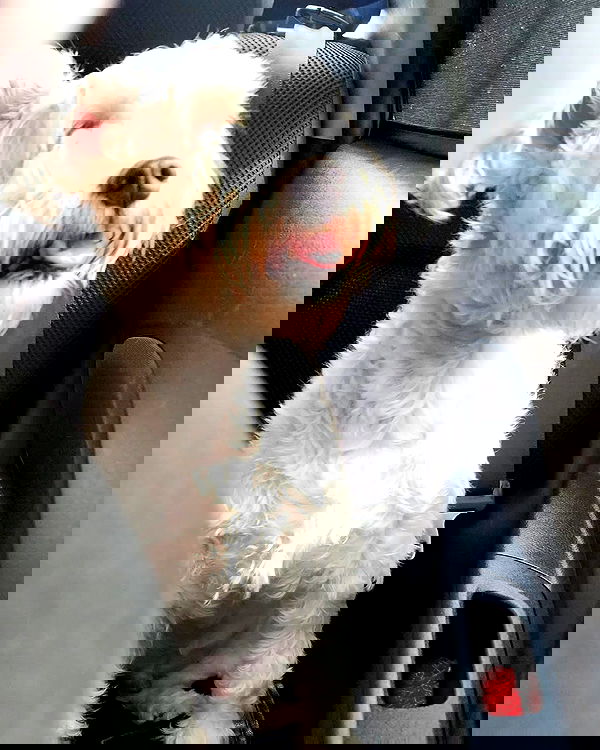 iamdorasnow iamdorasnow archive image